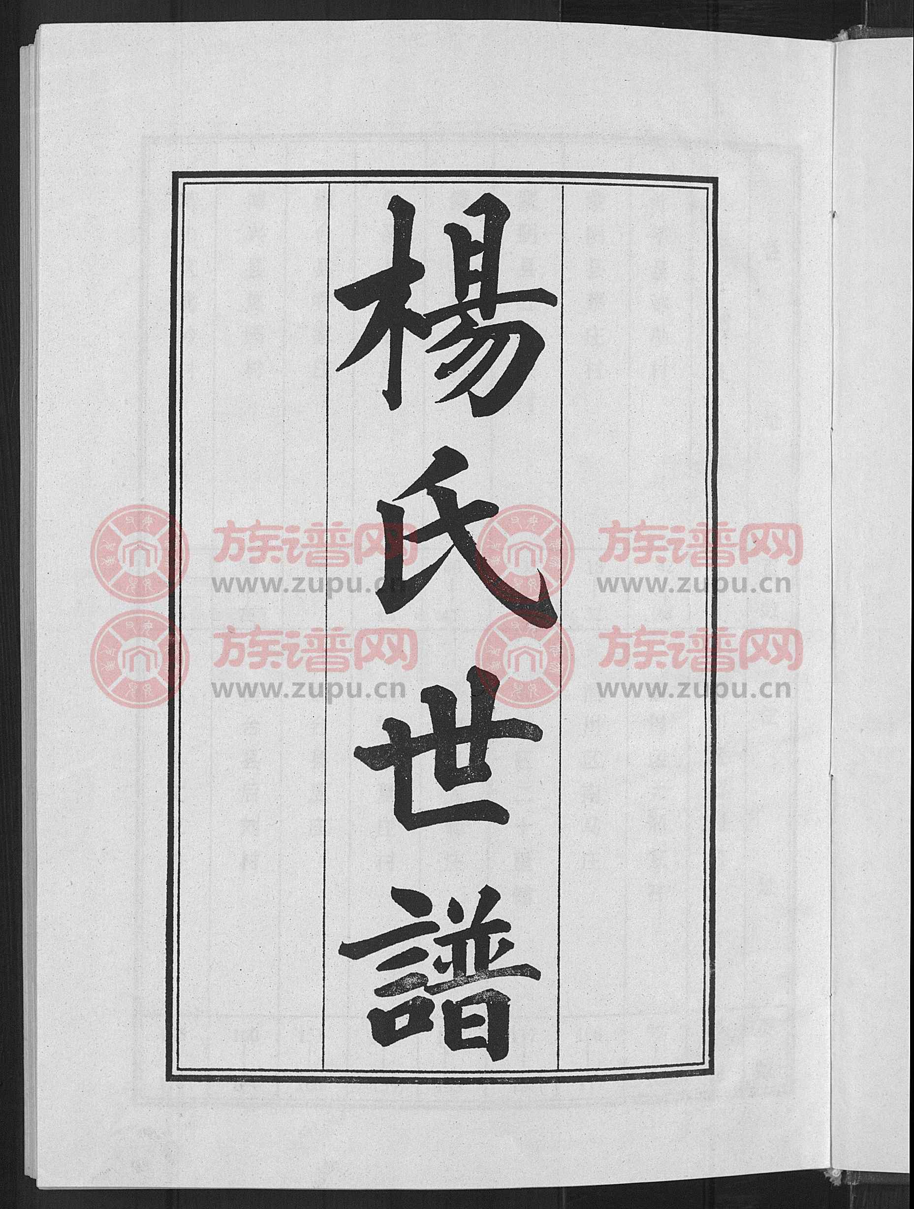 杨氏世谱